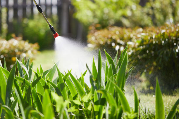 24/7 Emergency Mosquito Control experts in Mustang Ridge, TX