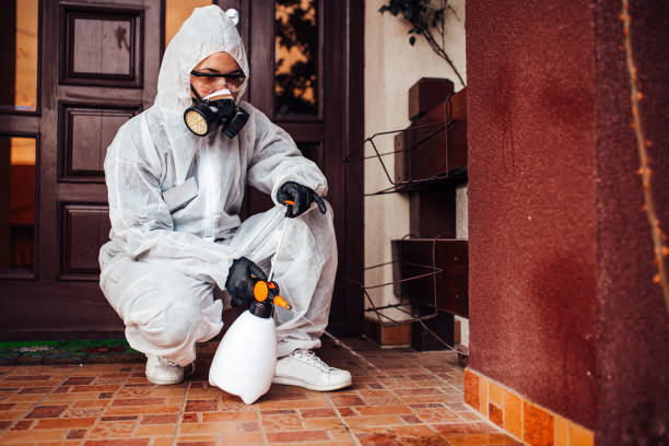 Reliable Mosquito Control contractor in Mustang Ridge, TX by Show Me Pest Control